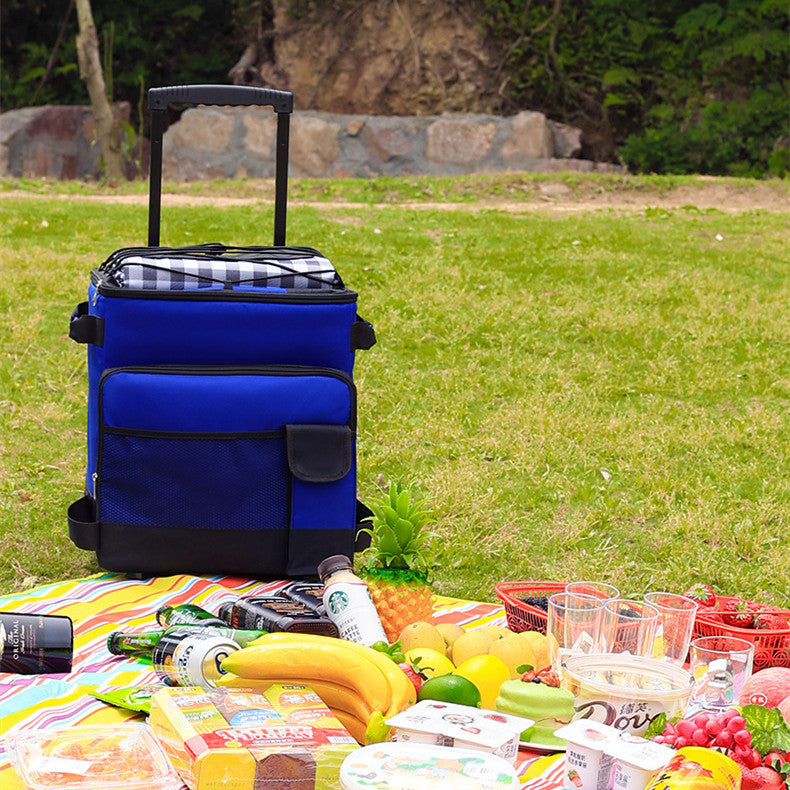 Portable Refrigerator Ice Pack Picnic Bag